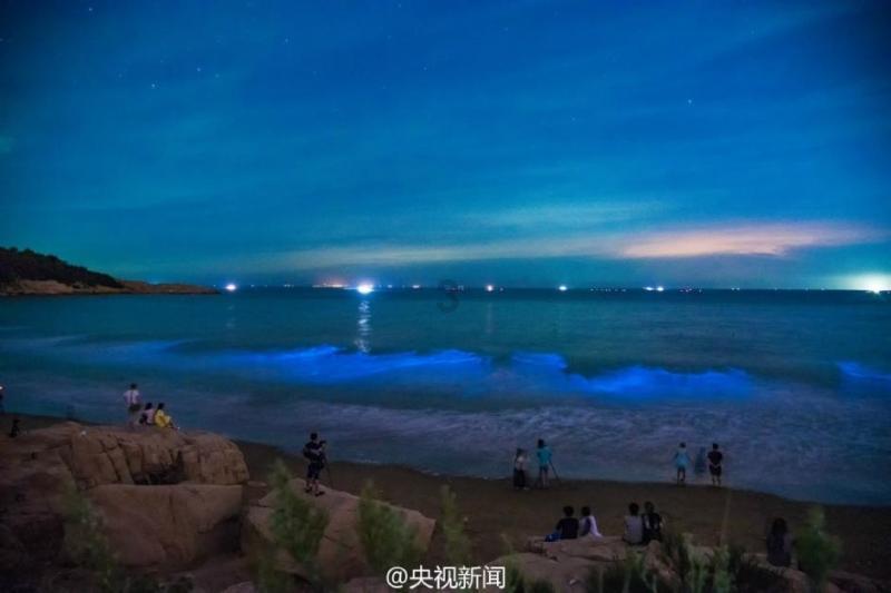 生化危机7