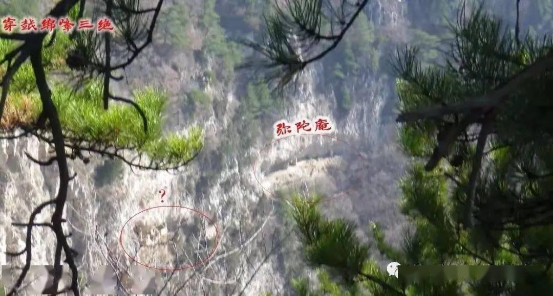 自由勇士历险记3