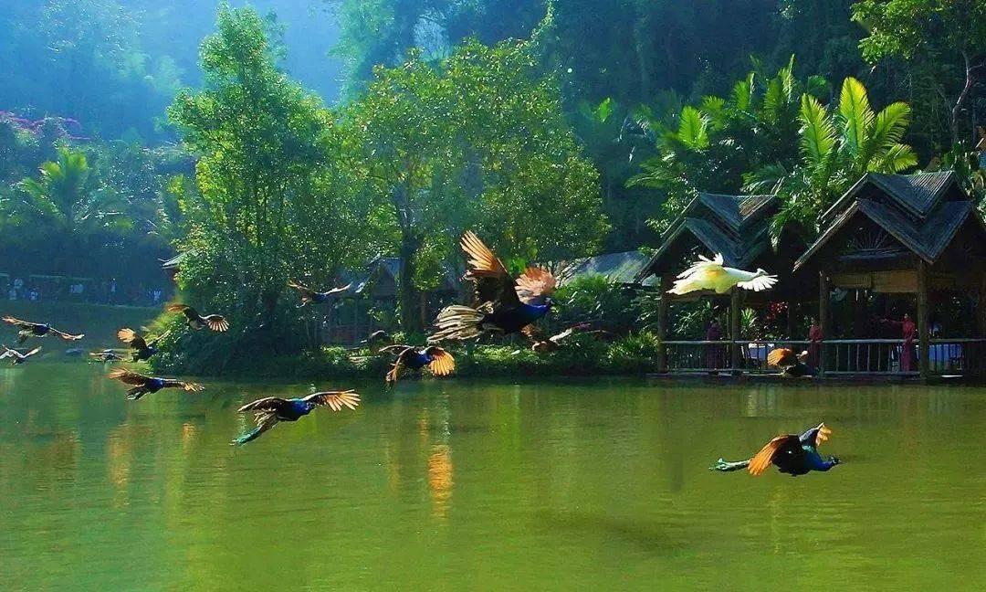 最后生还者2