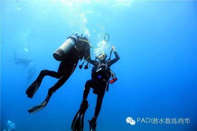 全民烧脑3去广告版