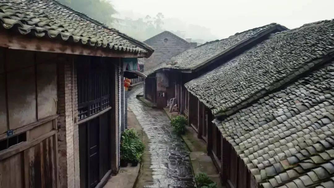 伊诺拉复仇记