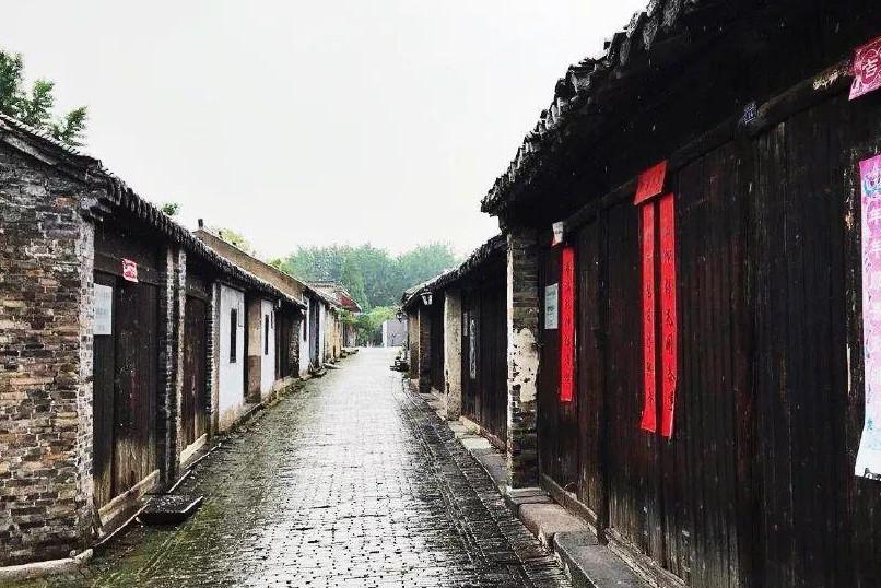 动物帮帮忙保卫家园